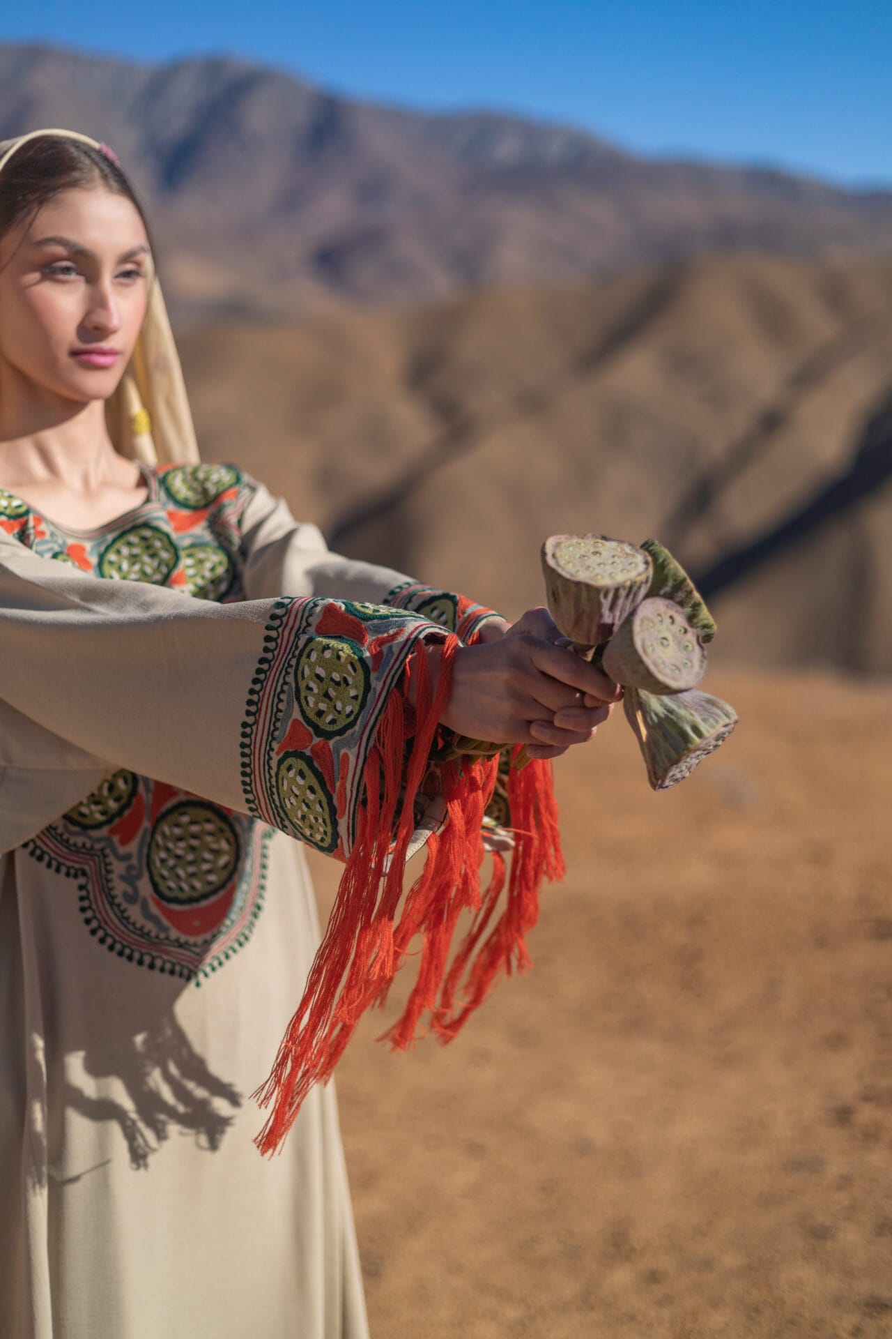 Beige Ari Embroidered Round Pheran Salwar Scarf