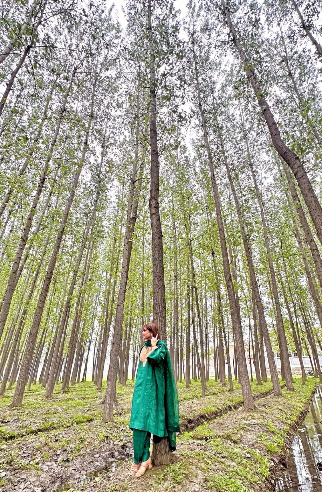 Green Tilla Embroidered Pheran Salwar Organza Mukaish Dupatta